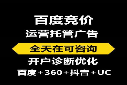 百度SEO推广公司案例剖析：助力企业提升排名